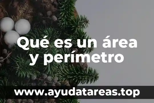 Qué es el área perímetro y volumen de una figura 8 Qué es un área y perímetro