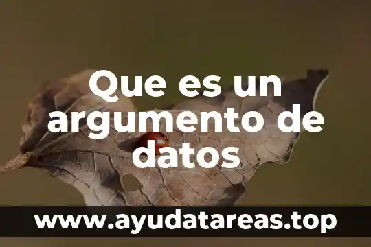 Modelo de datos que es y como hacer uno 5 Que es un argumento de datos
