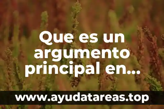 Que es un argumento principal en una investigacion