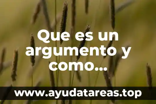 Que es un argumento y como identificarlo en un texto