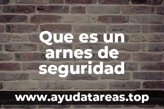 Que es un arnes de seguridad
