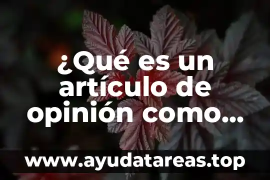 ¿Qué es un artículo de opinión como género periodístico?
