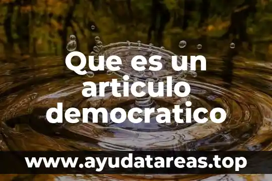 Que es un articulo democratico