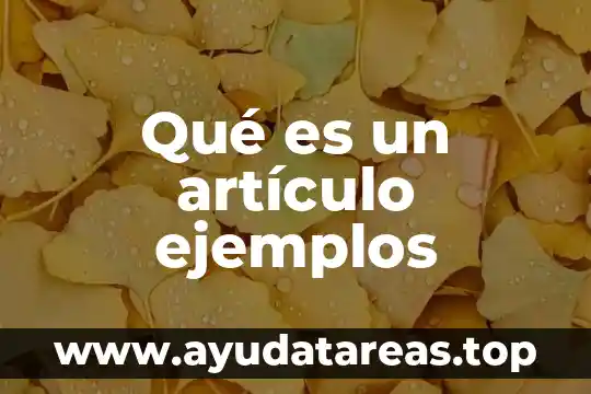 Qué es un artículo ejemplos