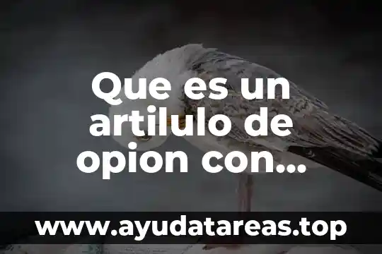 Que es un artilulo de opion con caracteristicas