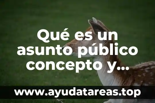 Qué es un asunto público concepto y ejemplos