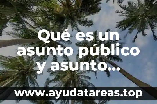 Qué es un asunto público y asunto privado formación cívica