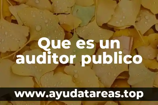 Que es un auditor publico