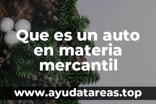 Que es la radicacion de personas en materia mercantil 5 Que es un auto en materia mercantil