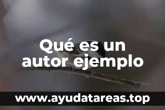 Qué es un autor ejemplo