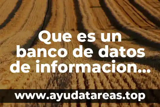 Que es una busqueda de informacion yahoo 6 Que es un banco de datos de informacion personal