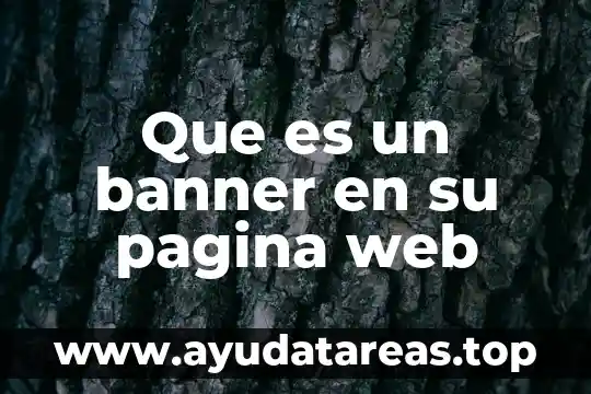 Que es un banner en su pagina web