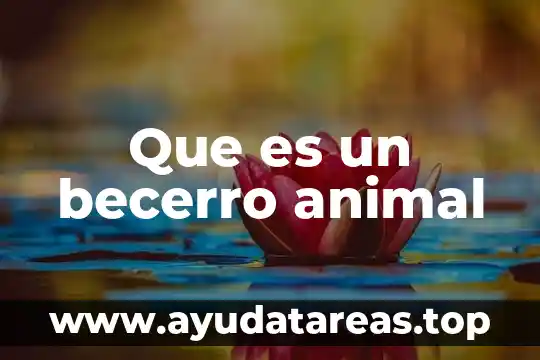 Que es el mundo animal 5 Que es un becerro animal