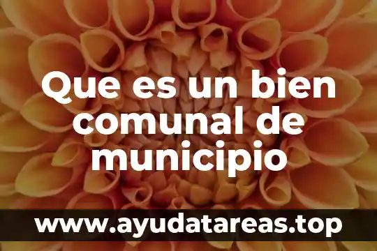 Que es un bien no fungible en derecho 3 Que es un bien comunal de municipio