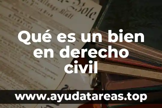 Que es un bien no fungible en derecho 7 Qué es un bien en derecho civil