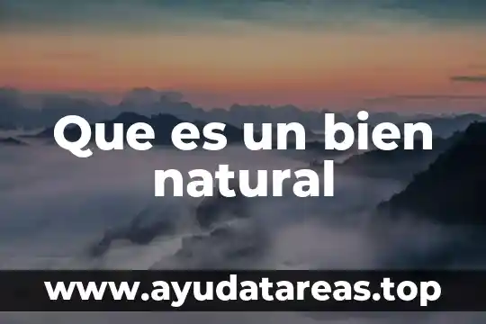 Que es un bien no fungible en derecho 6 Que es un bien natural