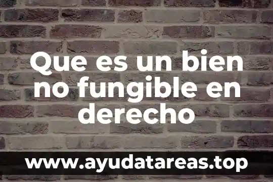 Que es un bien en administracion 3 Que es un bien no fungible en derecho