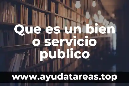 Que es un bien o servicio publico