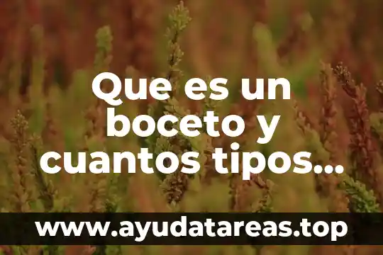 Que es un boceto y cuantos tipos hay