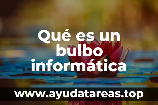 Que significa o que es un logout en informatica 6 Qué es un bulbo informática