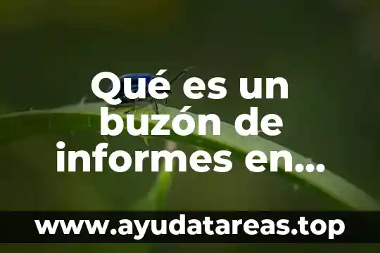 Qué es la ilustración filosofía 6 Qué es un buzón de informes en empresas