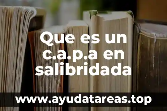 Que es la capa de sobreposicion en mapa digital 8 Que es un c.a.p.a en salibridada