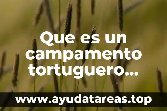 Qué es un electroimán definición 8 Que es un campamento tortuguero definicion