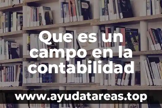Que es reserva estatutaria en contabilidad ecuador 8 Que es un campo en la contabilidad