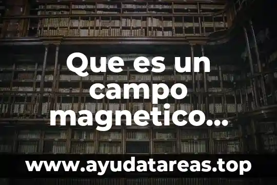 Que es un campo magnetico critico