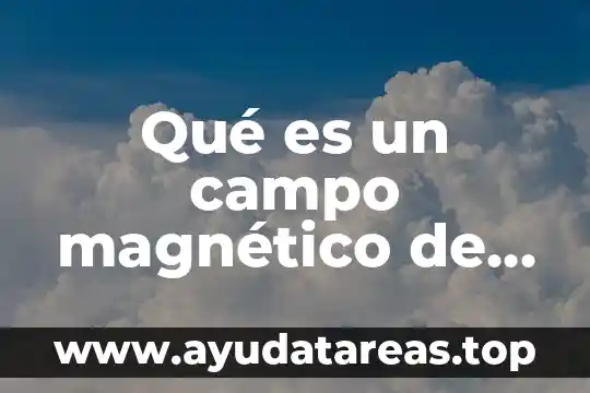 Qué es la ciencia cómo ha nacido de qué manera 4 Qué es un campo magnético de manera general