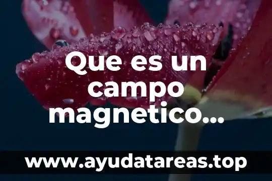 Que es corriente literaria o movimientos tipos 4 Que es un campo magnetico producido por una corriente