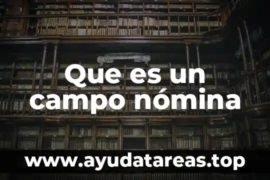 Que es un campo nómina