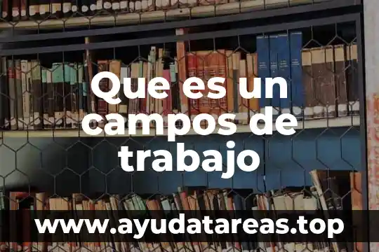 Que es el trabajo de campo en la arqueologia 6 Que es un campos de trabajo