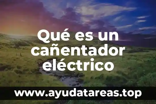 Qué es un cañentador eléctrico