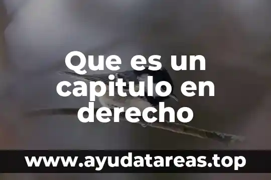 Que es un capitulo en derecho