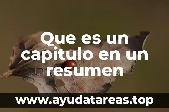 Que es un capitulo en un resumen