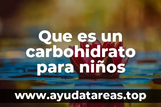 Que es un carbohidrato para niños
