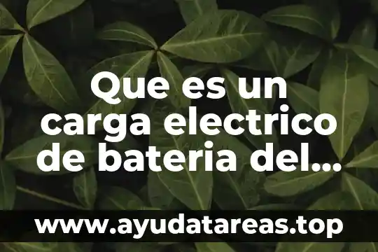 Que es un carga electrico de bateria del vehiculo