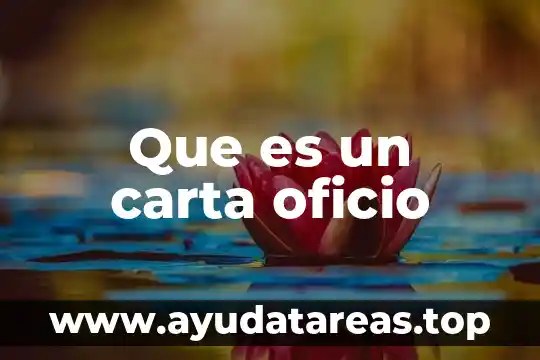 Que es un carta oficio