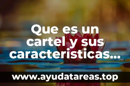 Que es un manual e general y caracteristicas 5 Que es un cartel y sus caracteristicas principales