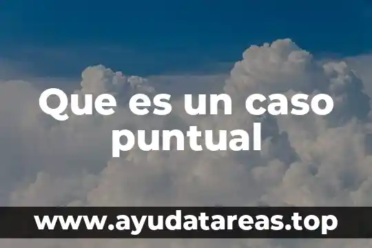 Que es un caso puntual