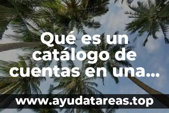 Que es el area administrativa y operativa de una empresa 5 Qué es un catálogo de cuentas en una empresa manufacturera