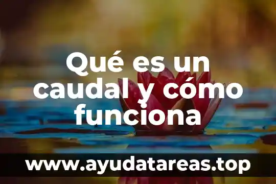 Que es un presta nombres y como funciona 3 Qué es un caudal y cómo funciona