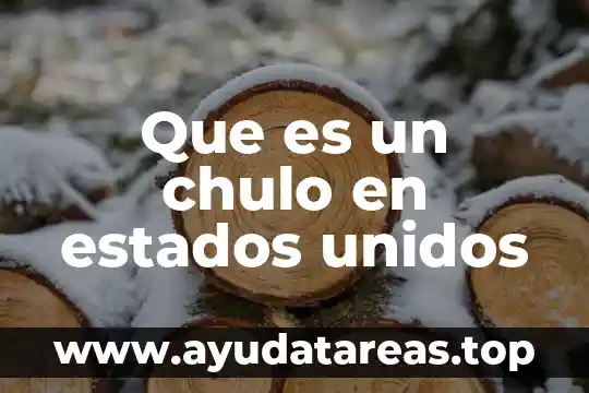 Número nueve en mex que es en estados unidos 7 Que es un chulo en estados unidos