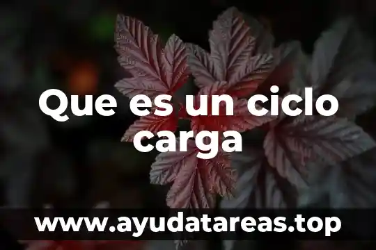 Que es un ciclo de vida en programacion 7 Que es un ciclo carga