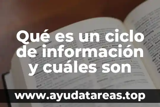 Qué es un ciclo de información y cuáles son