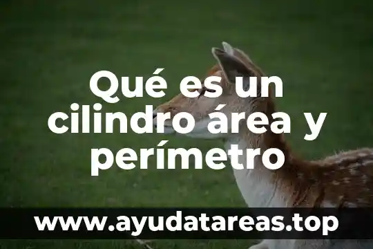 Qué es un cilindro área y perímetro