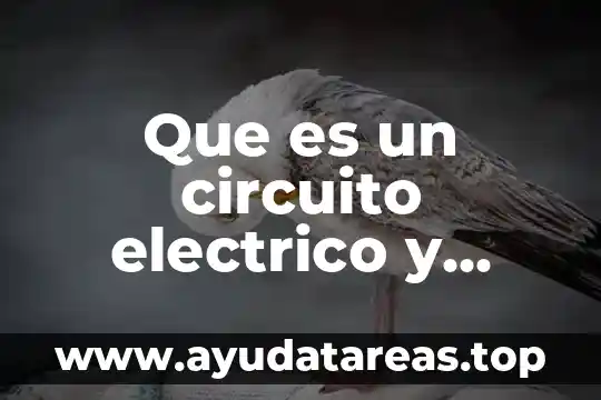 Que es una entrevista y cuantos tipos hay 6 Que es un circuito electrico y cuantos tipos hay