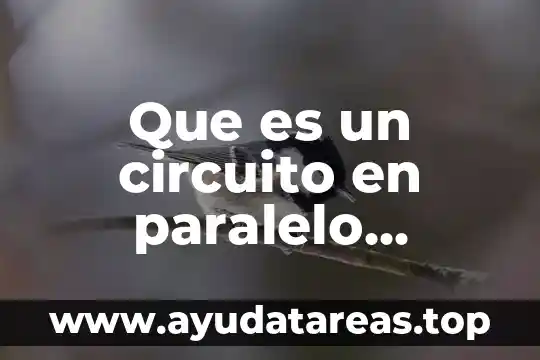 Que es paralelo y tipos de rectas 6 Que es un circuito en paralelo caracteristicas