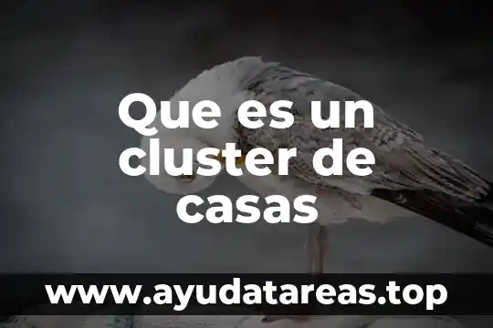 Que es un cluster de casas